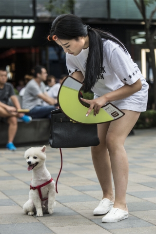 美女与狗狗