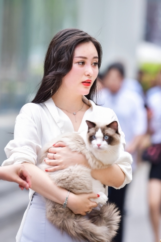 左手倒影赛帖：大气唯美的美女与她可爱的宠猫猫